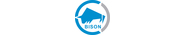 Bison